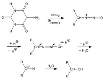 On the Mechanism of the Murexide Reaction .